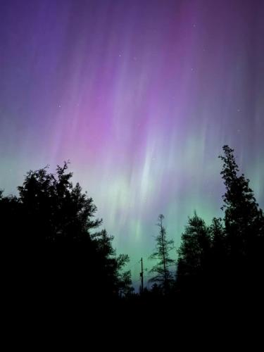 Φωτογραφία από το άλμπουμ του 16 Acre Bruce Peninsula Forest Escape σε Red Bay