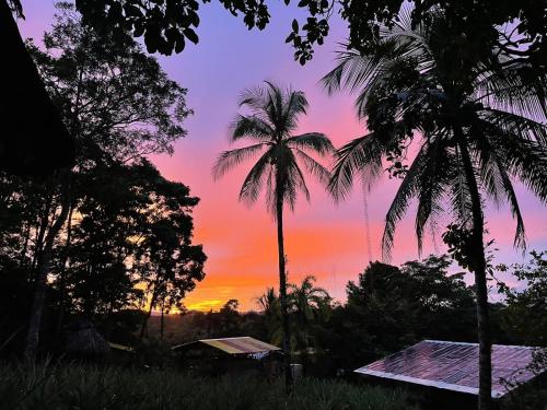 a sunset with two palm trees and a house at Sconfra creek in Bluefields