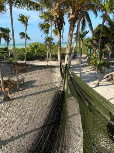 a hammock on a beach with palm trees at Cucu Hotel El Cuyo in El Cuyo