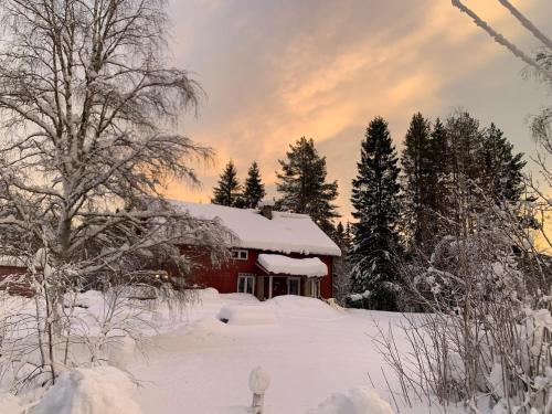 a red house covered in snow with trees andrees at Landgård Feriehus in Trysil