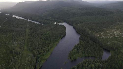 an aerial view of a river in a forest at Landgård Feriehus in Trysil
