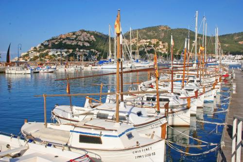 a bunch of boats are docked in a marina at Mon Port Hotel & Spa in Port d’Andratx