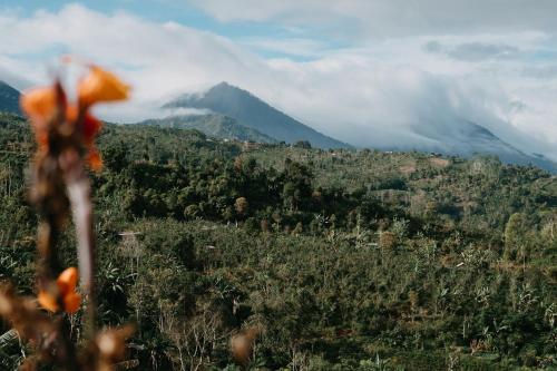 Foto dalla galleria di Alam Munduk Glamping a Munduk