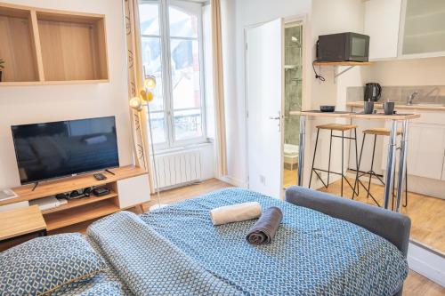 un salon avec un canapé et une télévision dans l'établissement TY NID Studio Rennes HYPERCENTRE HOCHE-ST-ANNE, à Rennes