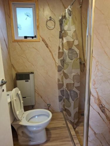 a bathroom with a toilet and a shower at alojamientos CM in Tolhuin