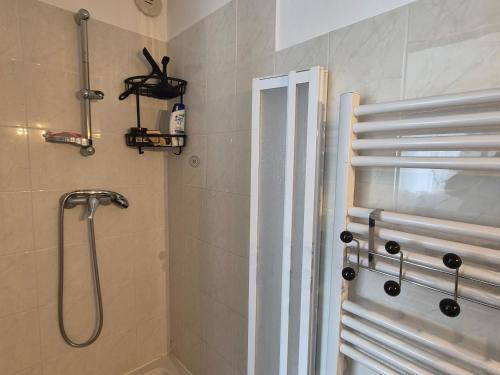 une salle de bain avec une douche avec pommeau de douche dans l'établissement T2 Proche Plage, Balcon Est, Animaux Acceptés - FR-1-482-148, à Fort-Mahon-Plage