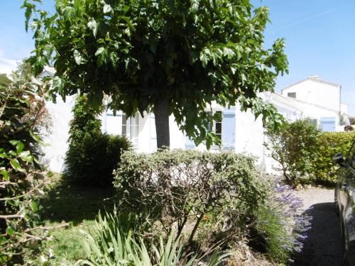 Maison confortable à La Guérinière, proche plage, animaux admis - FR-1-823-4