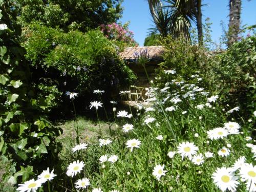 Photo de la galerie de l'établissement Maison de charme au Bourg de Noirmoutier avec jardin pour 4 pers - FR-1-823-9, à Noirmoutier-en-l'lle
