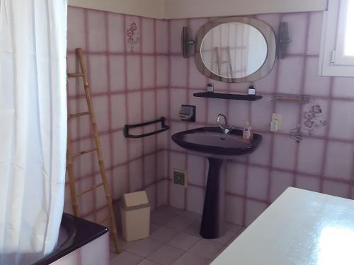 une salle de bain avec un lavabo et un miroir dans l'établissement Maison spacieuse à 80m de la plage, animaux admis, WiFi gratuit - FR-1-823-19, à La Guérinière