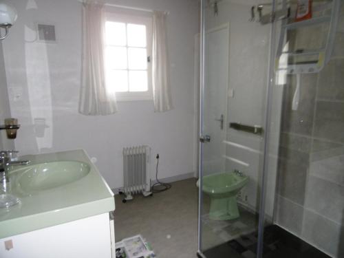 La salle de bains est pourvue d'une douche et de toilettes vertes. dans l'établissement Maison de plain-pied avec jardin ombragé et animaux admis, proche mer et forêt - 6 pers - FR-1-823-30, à La Guérinière