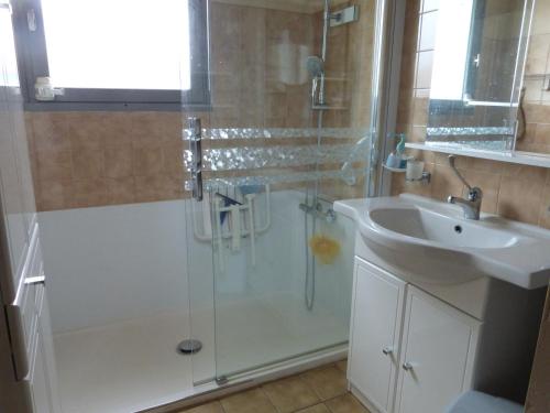 une salle de bain avec douche et lavabo dans l'établissement Maison en bord de mer pour 6 pers avec WIFI et animaux admis - FR-1-823-67, à Barbâtre