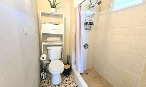 JayuyaJayuya Cozy Aparment with Wi-Fi, Free Parking and AC的带卫生间和淋浴的浴室