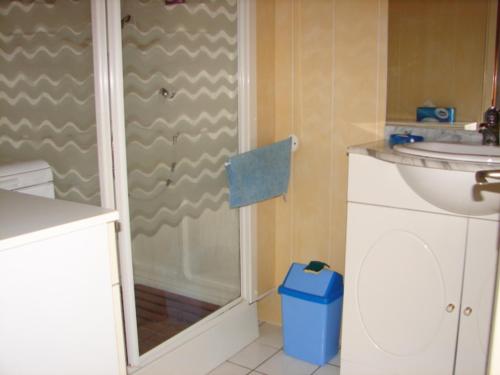 une salle de bain avec douche et lavabo dans l'établissement Maison confortable à 300 m de la plage, animaux acceptés - FR-1-823-113, à La Guérinière