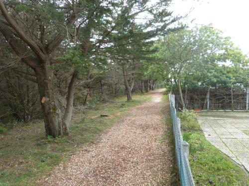 Photo de la galerie de l'établissement Maison mitoyenne à Barbâtre près de la plage - 4/6 personnes - Animaux admis - FR-1-823-111, à Barbâtre