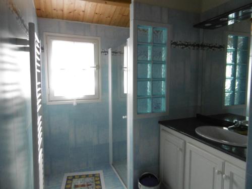 une salle de bain avec une douche et un lavabo et une fenêtre dans l'établissement Maison 2 Pers. à Noirmoutier, Proche Plage, Parking - FR-1-823-115, à Noirmoutier-en-l'lle