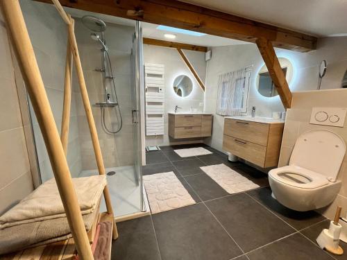 ein Badezimmer mit Dusche und Toilette in der Unterkunft Chalet rénové à Samoëns - Calme et confort avec terrasse - FR-1-624-178 in Samoëns