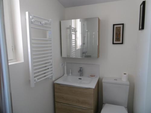 une salle de bain avec un lavabo, des toilettes et un miroir dans l'établissement Maison Noirmoutier - Jardin Clos Ombre - 4 Pers - FR-1-823-136, à Noirmoutier-en-l'lle