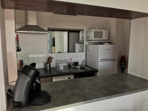 Kuchyň nebo kuchyňský kout v ubytování Studio avec vue sur la lagune, parking et animaux admis - FR-1-194-293