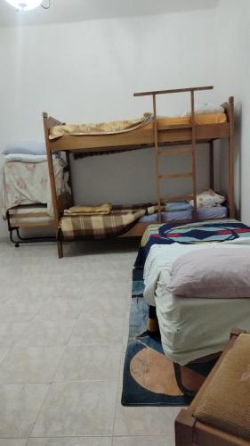 a room with two bunk beds and a rug at Backpackers Casa De Payaso in Durrës
