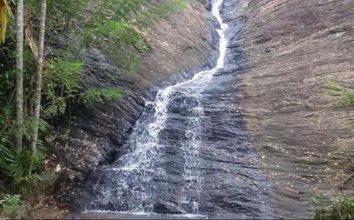 a waterfall on the side of a mountain with trees at Birds Park Polgahawela in Egalla
