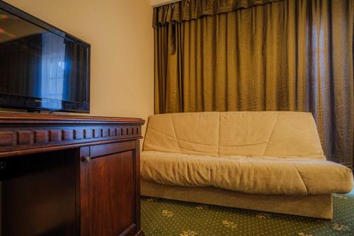 a living room with a couch and a flat screen tv at Popasul Caprioarei in Pădureni