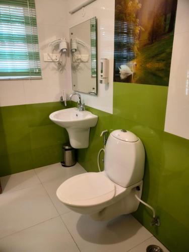 a green bathroom with a toilet and a sink at Blissfull Meadows in Ooty