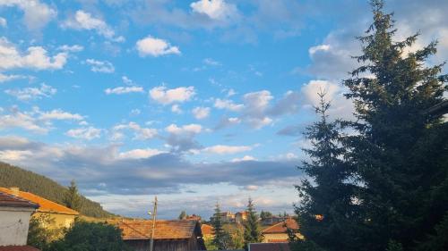 a christmas tree in front of a cloudy sky at Къща за гости ВИРА in Yasă-Koriya