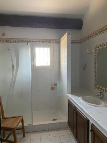 une salle de bain avec douche et lavabo dans l'établissement Mas du petit Tamaris, à Arles