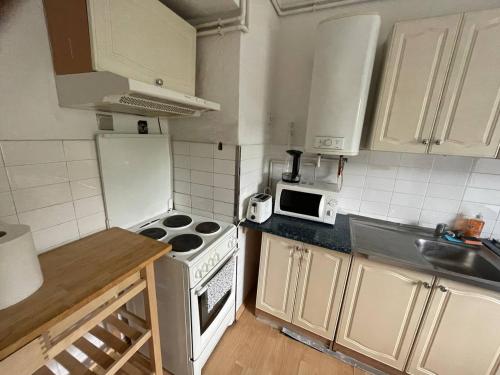 a small kitchen with a stove and a sink at ROOMS Vystaviste BVV in Brno