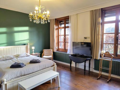 a bedroom with a bed with a television and a chandelier at Aubépine in Sains-du-Nord