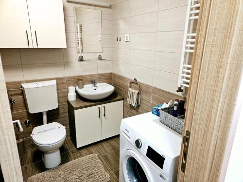 a bathroom with a toilet a sink and a washing machine at REA in Pasuljište