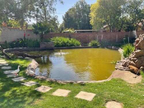 Giardino di Royal Olympia Lodges & Safaris RSA