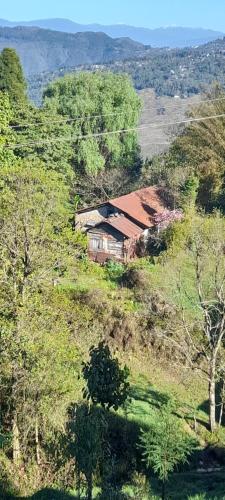 Příroda nedaleko apartmánu