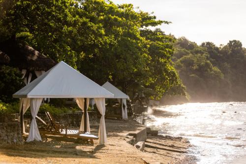 Fotografie z fotogalerie ubytování Palm Beach Resort v destinaci Biga