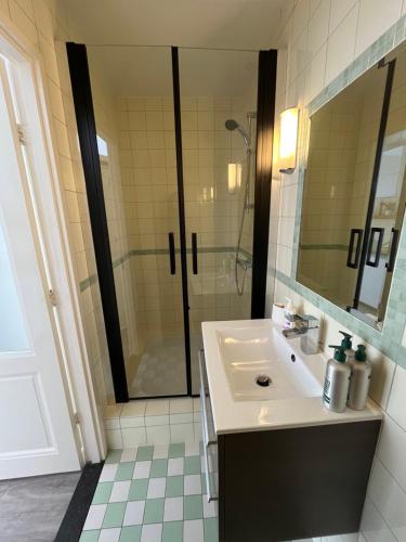 a bathroom with a sink and a shower at Studio en deluxe appartement Blueberry in Zandvoort