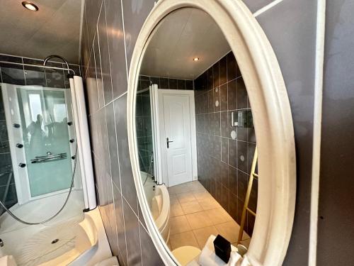 une salle de bain avec toilettes et miroir dans l'établissement S Albert poulain T3 tout équipé proche Charleville, à Nouzonville