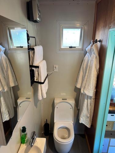 a small bathroom with a toilet and a sink at Cosy Cabin Retreat in Makirikiri