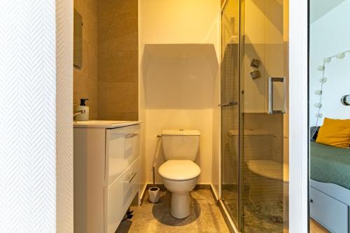 une petite salle de bain avec toilettes et douche dans l'établissement Le STUDIO 2, à Dijon