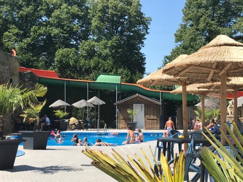 a group of people swimming in a swimming pool at Vakantiepark de Oude Molen in Groesbeek