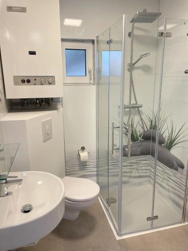 a bathroom with a shower and a toilet and a sink at Ferienhaus Heinrich in Egloffstein