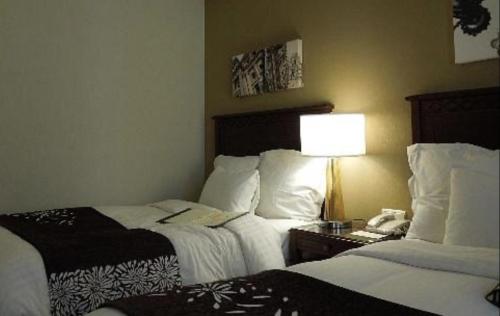 Φωτογραφία από το άλμπουμ του Hotel Splendid σε Eforie Sud