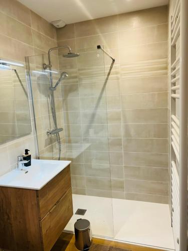 une salle de bain avec un lavabo et une douche en verre dans l'établissement Au Pilat, à Pélussin