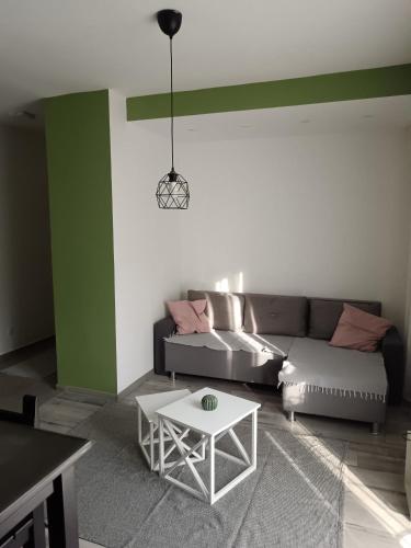a living room with a couch and a table at Apartman Petreš in Sombor