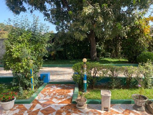 Κήπος έξω από το One World Village Guesthouse