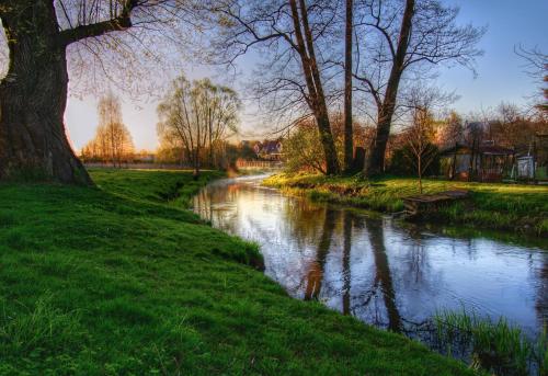 a river in a park with a tree and grass at Centrum One in Suwałki