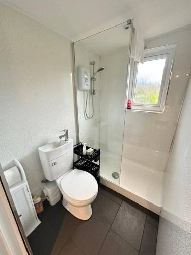 a white bathroom with a toilet and a shower at The Cabin Leat Road in Lifton