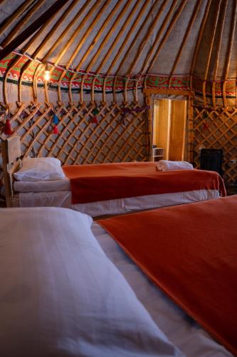 a group of four beds in a room at Ethno complex Ala kuch in Kaindy