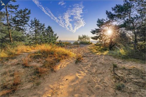 a dirt road leading to a beach with trees at Kimpi 3 in Ostseebad Koserow