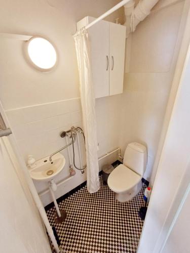 a small bathroom with a toilet and a sink at Bright and central city apartment near Aalborg Business School in Aalborg