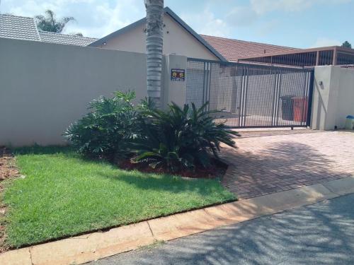 a house with a palm tree in the yard at Falconbridge Properties in Krugersdorp